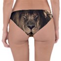 African Lion Mane Close Eyes Reversible Hipster Bikini Bottoms View2