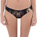 African Lion Mane Close Eyes Reversible Hipster Bikini Bottoms View3