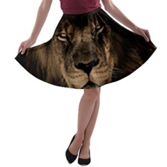 African Lion Mane Close Eyes A-line Skater Skirt by Celenk