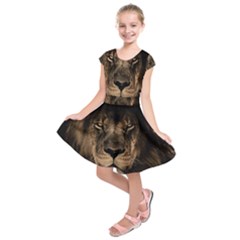 African Lion Mane Close Eyes Kids  Short Sleeve Dress by Celenk