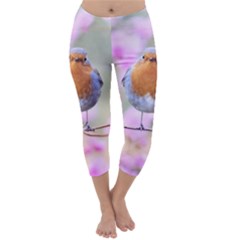 Spring Bird Bird Spring Robin Capri Winter Leggings  by Celenk