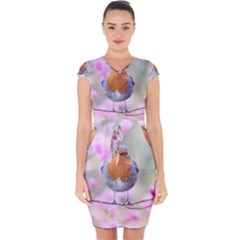 Spring Bird Bird Spring Robin Capsleeve Drawstring Dress 