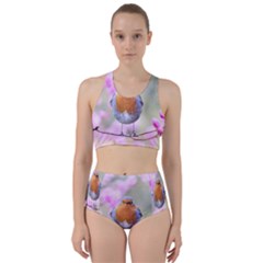 Spring Bird Bird Spring Robin Racer Back Bikini Set