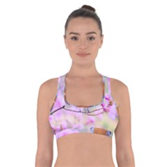 Spring Bird Bird Spring Robin Cross Back Sports Bra