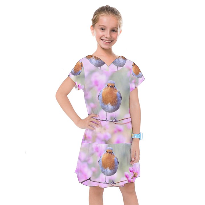 Spring Bird Bird Spring Robin Kids  Drop Waist Dress