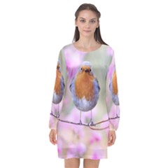 Spring Bird Bird Spring Robin Long Sleeve Chiffon Shift Dress  by Celenk