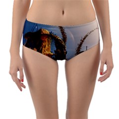 Wonderful Seascape With Mushroom House Reversible Mid-waist Bikini Bottoms by FantasyWorld7