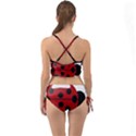 Ladybug Insects Colors Alegre Mini Tank Bikini Set View2