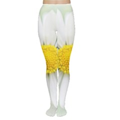 Art Daisy Flower Art Flower Deco Women s Tights by Celenk