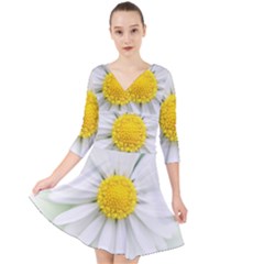 Art Daisy Flower Art Flower Deco Quarter Sleeve Front Wrap Dress	