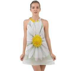 Art Daisy Flower Art Flower Deco Halter Tie Back Chiffon Dress