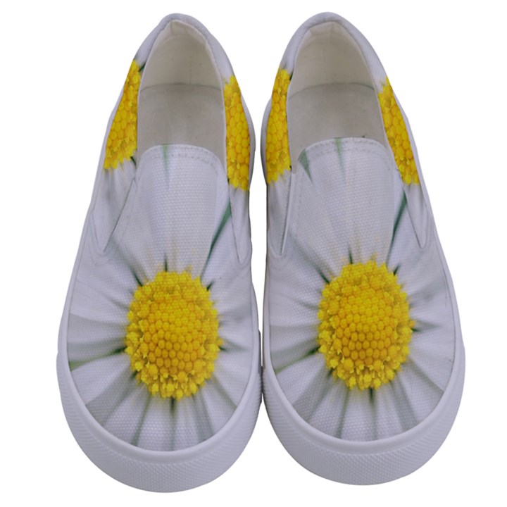 Art Daisy Flower Art Flower Deco Kids  Canvas Slip Ons