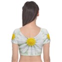 Art Daisy Flower Art Flower Deco Velvet Short Sleeve Crop Top  View2