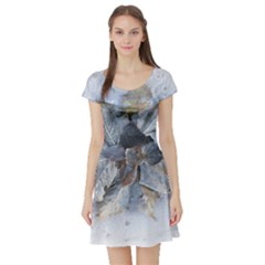 Winter Frost Ice Sheet Leaves Short Sleeve Skater Dress by Celenk