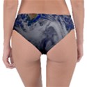 A Sky View Of Earth Reversible Classic Bikini Bottoms View4