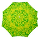 Pattern Straight Umbrellas View1