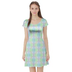 Pattern Short Sleeve Skater Dress