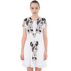 Kawaii Panda Girl Adorable In Chiffon Dress