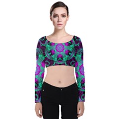 Pattern Velvet Long Sleeve Crop Top by gasi