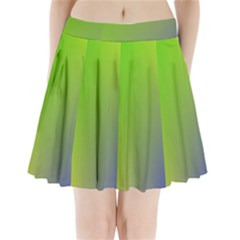 Pattern Pleated Mini Skirt by gasi