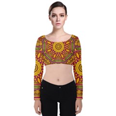 Sunshine Mandala And Other Golden Planets Velvet Long Sleeve Crop Top