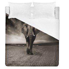 Elephant Black And White Animal Duvet Cover (queen Size) by Celenk