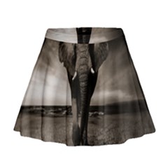 Elephant Black And White Animal Mini Flare Skirt by Celenk