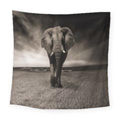 Elephant Black And White Animal Square Tapestry (large) by Celenk