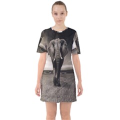 Elephant Black And White Animal Sixties Short Sleeve Mini Dress