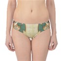 Egyptian Paper Papyrus Bird Hipster Bikini Bottoms View1