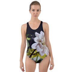 Dahlias Dahlia Dahlia Garden Cut-out Back One Piece Swimsuit