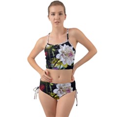 Dahlias Dahlia Dahlia Garden Mini Tank Bikini Set