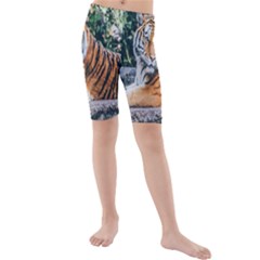 Animal Big Cat Safari Tiger Kids  Mid Length Swim Shorts by Celenk