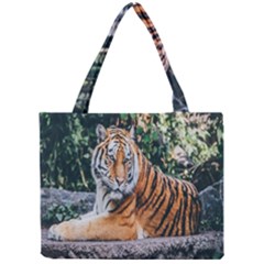 Animal Big Cat Safari Tiger Mini Tote Bag by Celenk