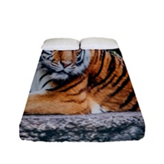 Animal Big Cat Safari Tiger Fitted Sheet (full/ Double Size) by Celenk