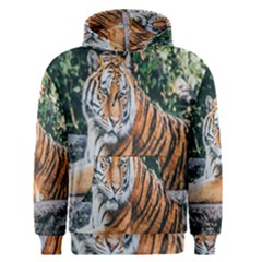 Animal Big Cat Safari Tiger Men s Pullover Hoodie by Celenk