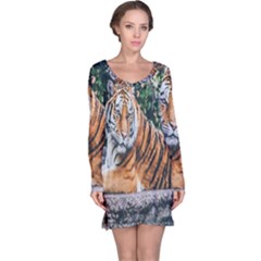 Animal Big Cat Safari Tiger Long Sleeve Nightdress by Celenk