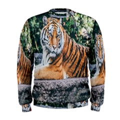 Animal Big Cat Safari Tiger Men s Sweatshirt