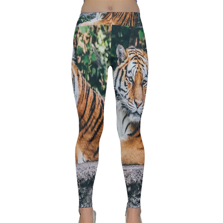 Animal Big Cat Safari Tiger Classic Yoga Leggings