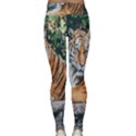 Animal Big Cat Safari Tiger Classic Yoga Leggings View2