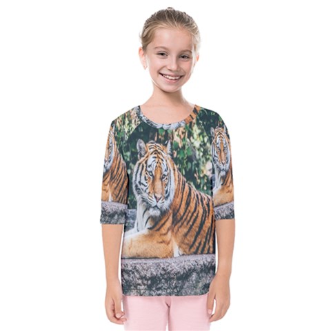 Animal Big Cat Safari Tiger Kids  Quarter Sleeve Raglan Tee by Celenk