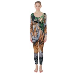 Animal Big Cat Safari Tiger Long Sleeve Catsuit by Celenk