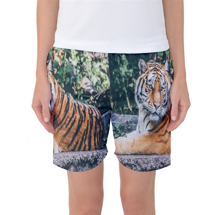 Animal Big Cat Safari Tiger Women s Basketball Shorts