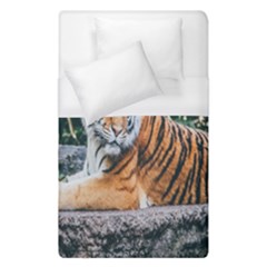 Animal Big Cat Safari Tiger Duvet Cover (single Size) by Celenk