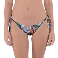 Animal Big Cat Safari Tiger Reversible Bikini Bottom by Celenk