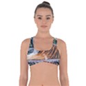 Animal Big Cat Safari Tiger Got No Strings Sports Bra View1