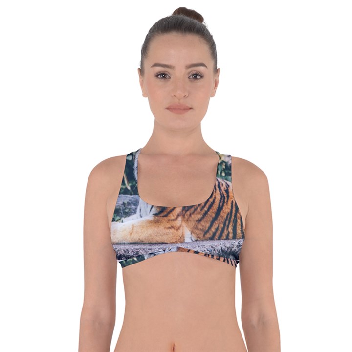 Animal Big Cat Safari Tiger Got No Strings Sports Bra