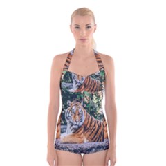 Animal Big Cat Safari Tiger Boyleg Halter Swimsuit  by Celenk