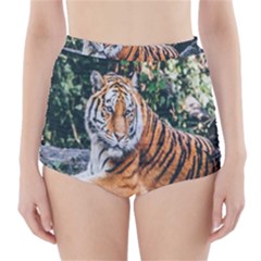 Animal Big Cat Safari Tiger High-waisted Bikini Bottoms by Celenk