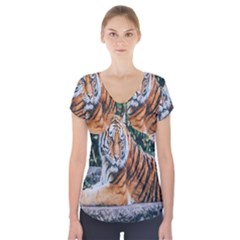 Animal Big Cat Safari Tiger Short Sleeve Front Detail Top by Celenk